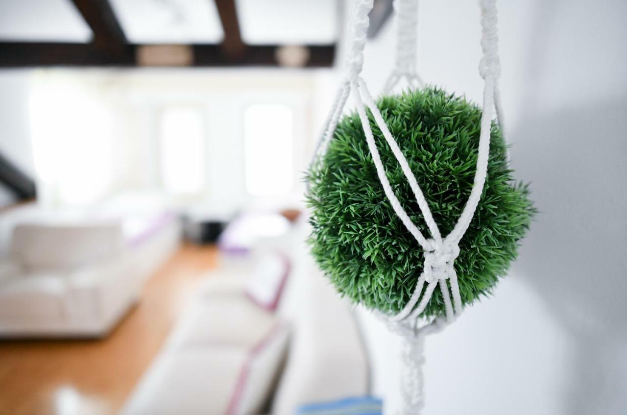 Apartments Bazilika โนวาลยา ภายนอก รูปภาพ